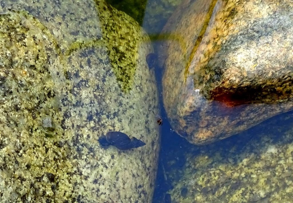DSC00023