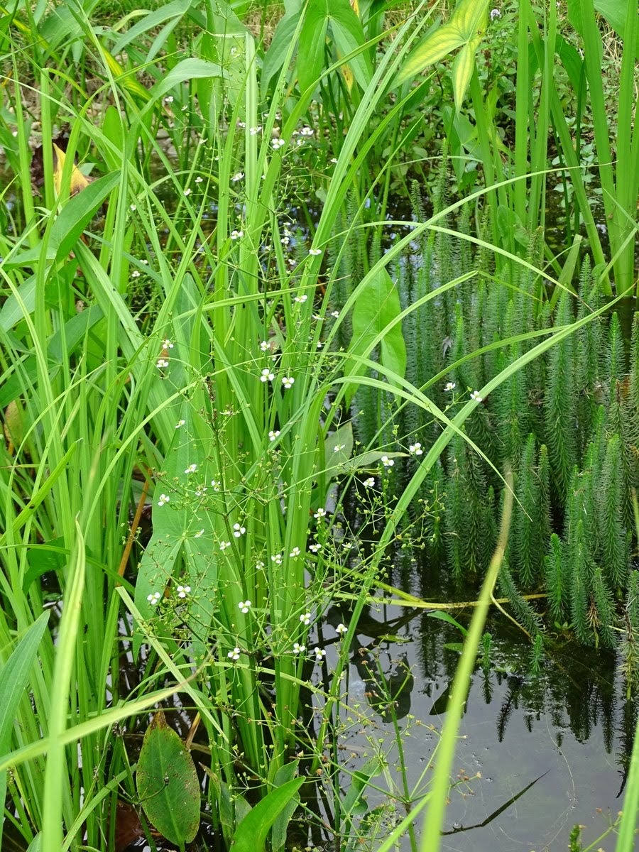 DSC00120 hjemmeside 3