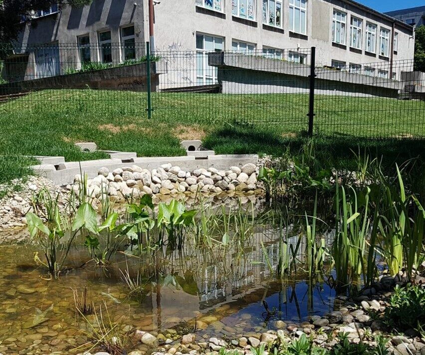 pond school