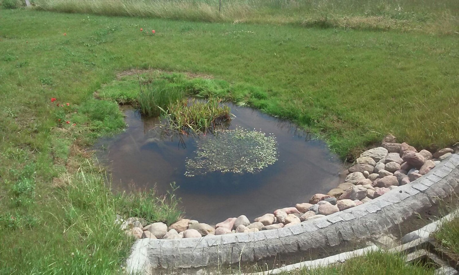 pond stones